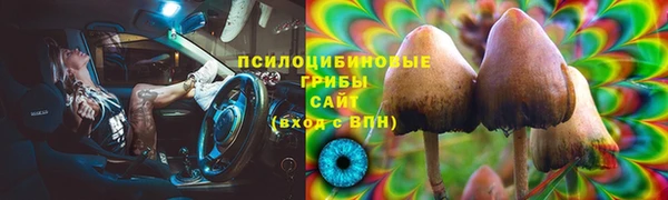 СК Алексин