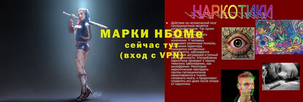 СК Алексин