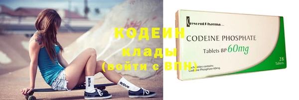 СК Алексин