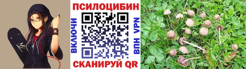 Галлюциногенные грибы мухоморы  Купить закладки  Тулун 